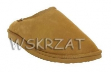 Powiększ