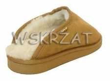 Powiększ